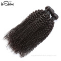 100% Virgin Unprocessed Kinky Curly Wave Style Afro Hair Extensions Free LOGO Design
